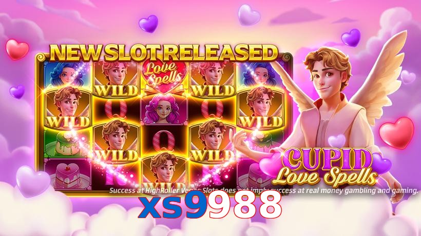 xs9988
