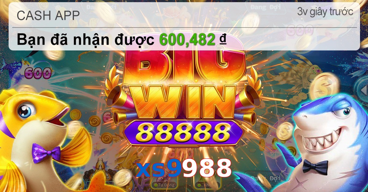 xs9988