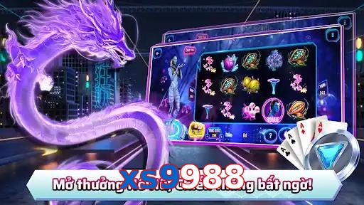 xs9988